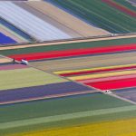 【新聞脈搏】曾嚴重缺糧的荷蘭，今天成為全球公認的農產、畜牧和花卉大國。這個超級溫室怎樣運作？
