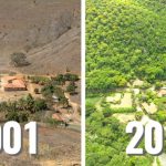 【新聞脈搏】攝影師以20年重建了一座森林，他治癒了自己，也為大地挽回一片綠色