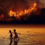 【新聞脈搏】南美洲兩大濕地連續野火，情勢失控。野火次數倍增，雨林如何發展下去？