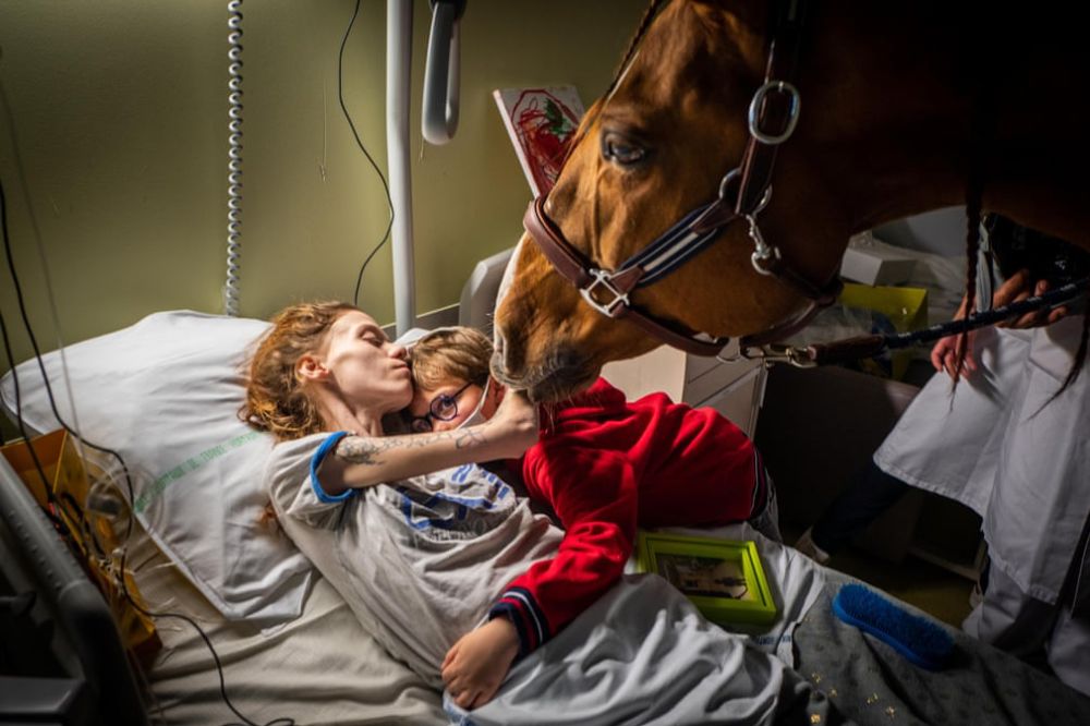 Peyo每天探訪24歲的末期癌症病人瑪利安，她抱住7歲的兒子，讓Peyo 用鼻輕觸，送上無言的愛。
© Jeremy Lempin/Divergence