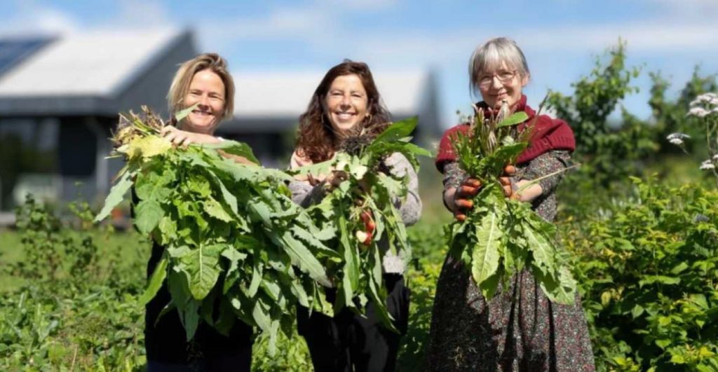 (圖片來源:Tara Schepers and Yolanda Sikking/Almere municipality)